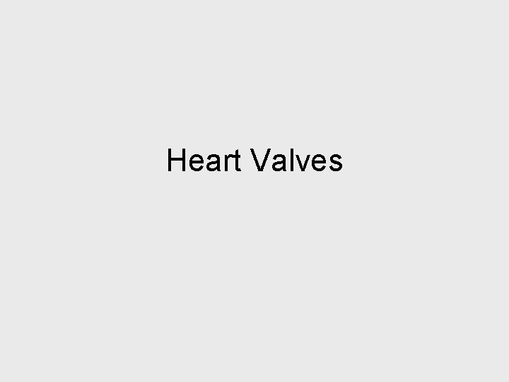 Heart Valves 