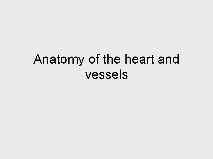 Anatomy of the heart and vessels 