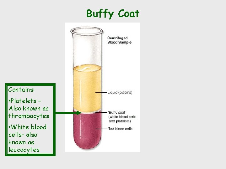 Buffy Coat Contains: • Platelets – Also known as thrombocytes • White blood cells-