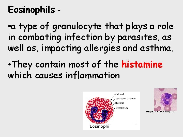 Eosinophils - • a type of granulocyte that plays a role in combating infection