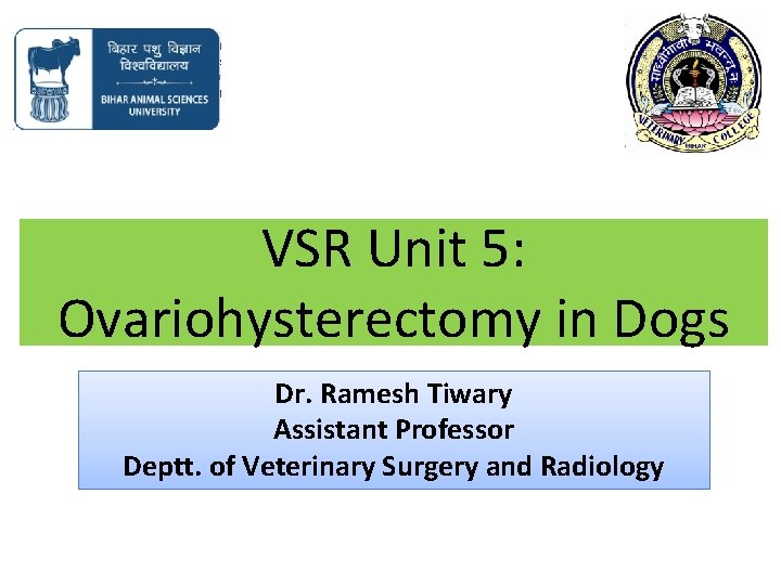 VSR Unit 5: Ovariohysterectomy in Dogs Dr. Ramesh Tiwary Assistant Professor Deptt. of Veterinary