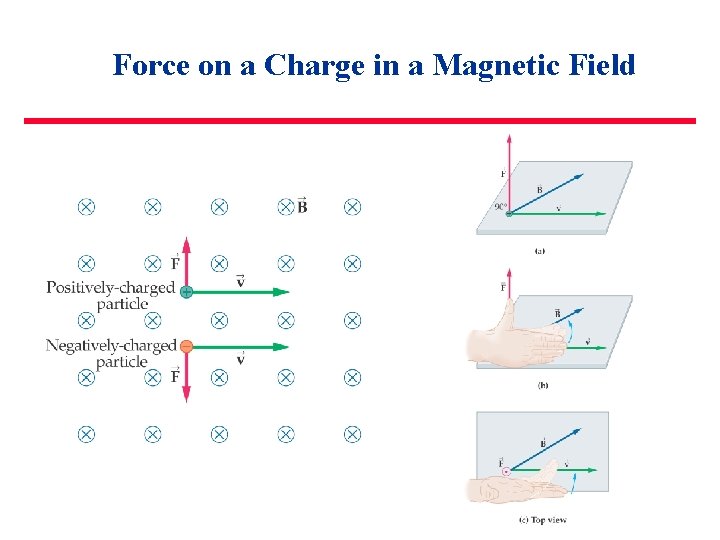 Force on a Charge in a Magnetic Field 