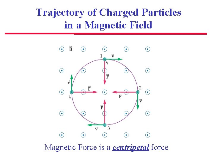 Trajectory of Charged Particles in a Magnetic Field Magnetic Force is a centripetal force