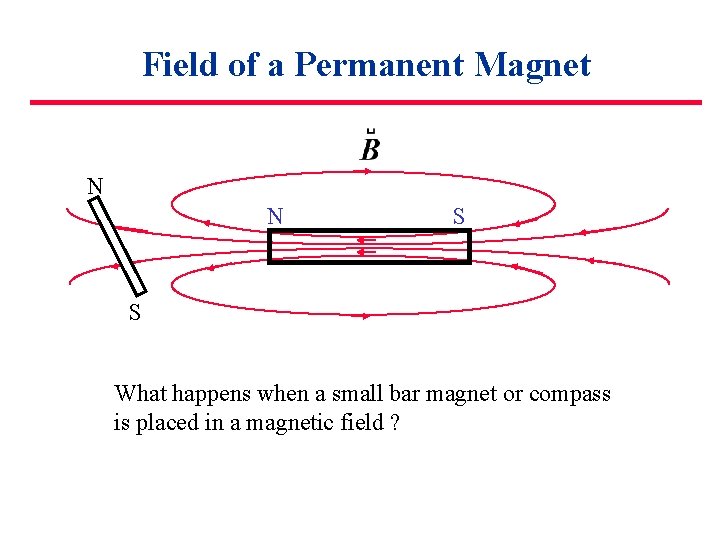 Field of a Permanent Magnet N N S S What happens when a small