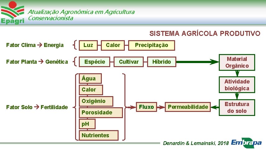 Atualização Agronômica em Agricultura Conservacionista SISTEMA AGRÍCOLA PRODUTIVO Fator Clima Energia Luz Fator Planta