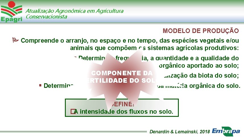 Atualização Agronômica em Agricultura Conservacionista MODELO DE PRODUÇÃO Compreende o arranjo, no espaço e