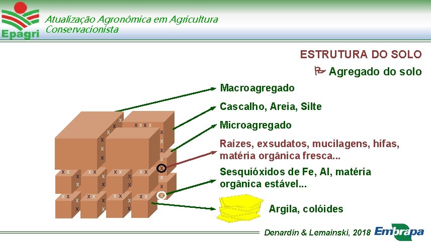 Atualização Agronômica em Agricultura Conservacionista ESTRUTURA DO SOLO Agregado do solo Macroagregado Cascalho, Areia,