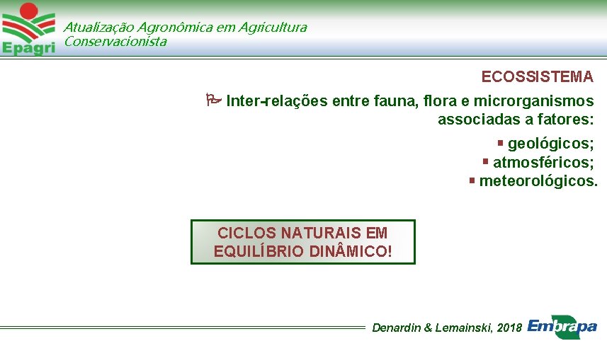Atualização Agronômica em Agricultura Conservacionista ECOSSISTEMA Inter-relações entre fauna, flora e microrganismos associadas a