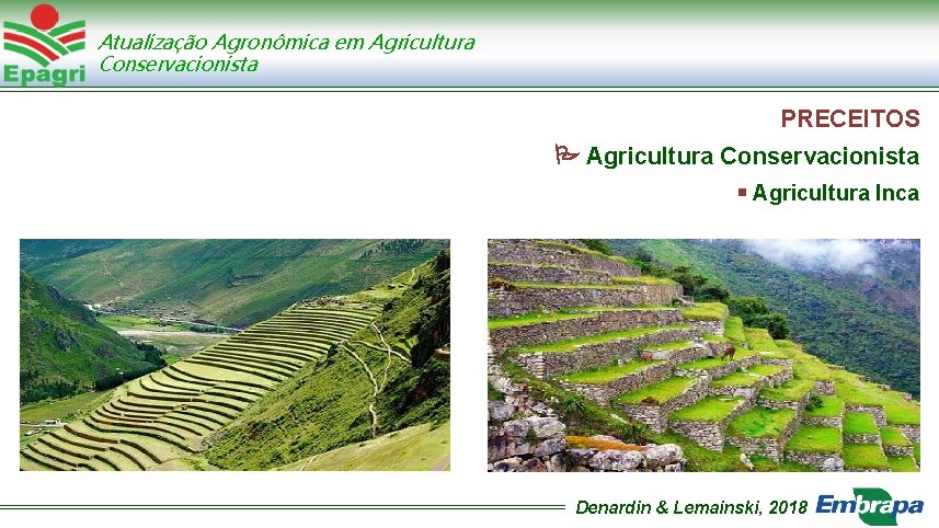 Atualização Agronômica em Agricultura Conservacionista PRECEITOS Agricultura Conservacionista Agricultura Inca Denardin & Lemainski, 2018