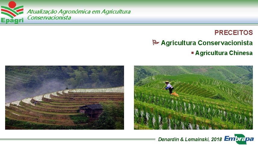 Atualização Agronômica em Agricultura Conservacionista PRECEITOS Agricultura Conservacionista Agricultura Chinesa Denardin & Lemainski, 2018