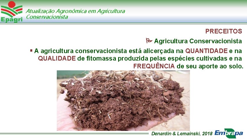 Atualização Agronômica em Agricultura Conservacionista PRECEITOS Agricultura Conservacionista A agricultura conservacionista está alicerçada na