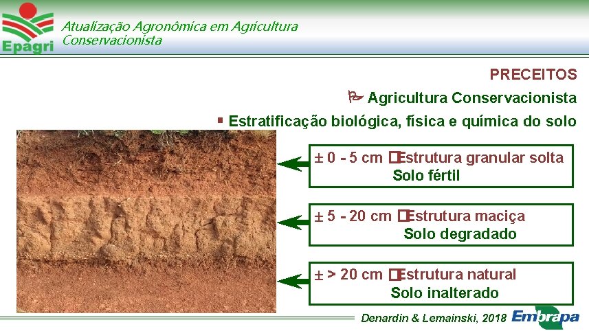 Atualização Agronômica em Agricultura Conservacionista PRECEITOS Agricultura Conservacionista Estratificação biológica, física e química do