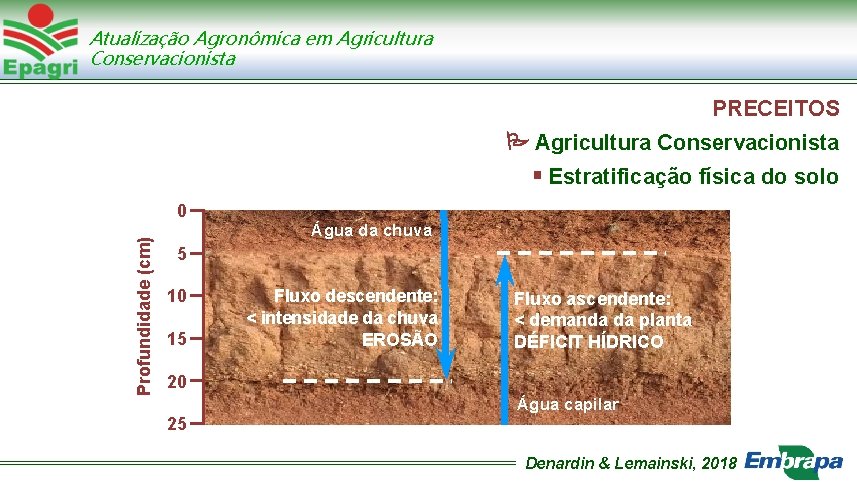 Atualização Agronômica em Agricultura Conservacionista PRECEITOS Agricultura Conservacionista Estratificação física do solo Profundidade (cm)