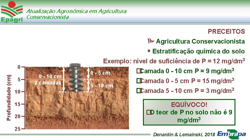 Atualização Agronômica em Agricultura Conservacionista PRECEITOS Agricultura Conservacionista Estratificação química do solo Exemplo: nível