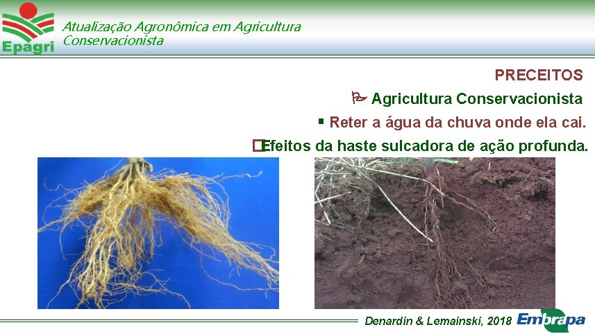 Atualização Agronômica em Agricultura Conservacionista PRECEITOS Agricultura Conservacionista Reter a água da chuva onde
