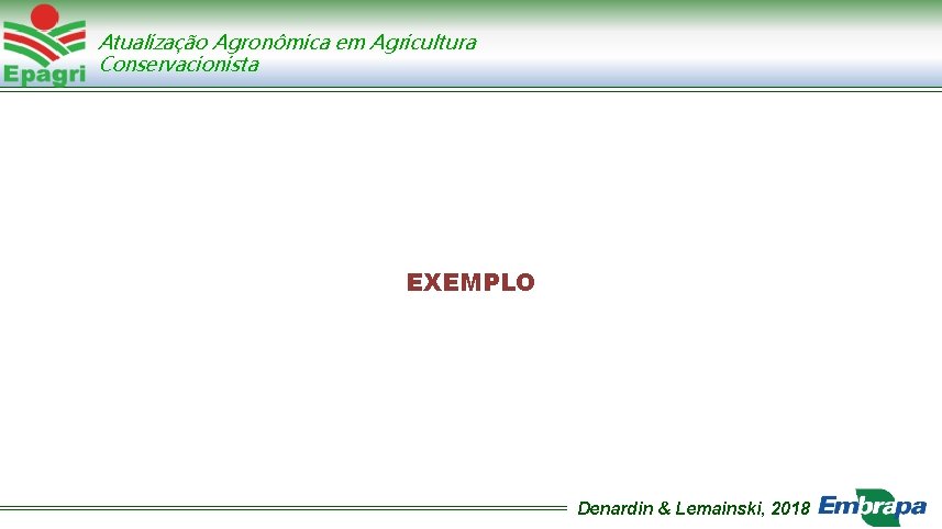 Atualização Agronômica em Agricultura Conservacionista EXEMPLO Denardin & Lemainski, 2018 