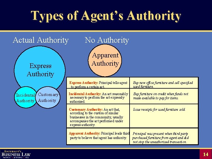 Types of Agent’s Authority Actual Authority Express Authority Incidental Customary Authority No Authority Apparent