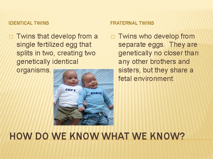 IDENTICAL TWINS � Twins that develop from a single fertilized egg that splits in IDENTICAL TWINS � Twins that develop from a single fertilized egg that splits in
