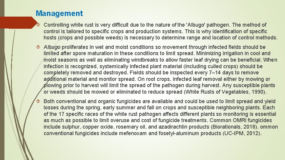 Management Controlling white rust is very difficult due to the nature of the 'Albugo' Management Controlling white rust is very difficult due to the nature of the 'Albugo'