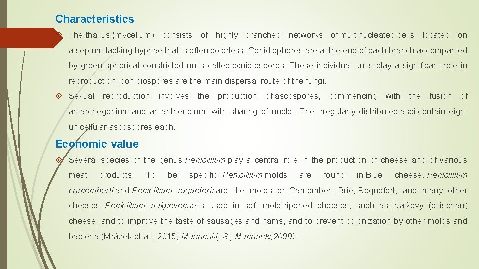 Characteristics The thallus (mycelium) consists of highly branched networks of multinucleated cells located on