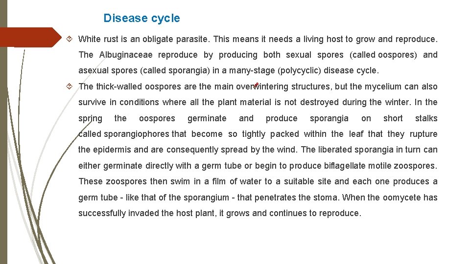 Disease cycle White rust is an obligate parasite. This means it needs a living