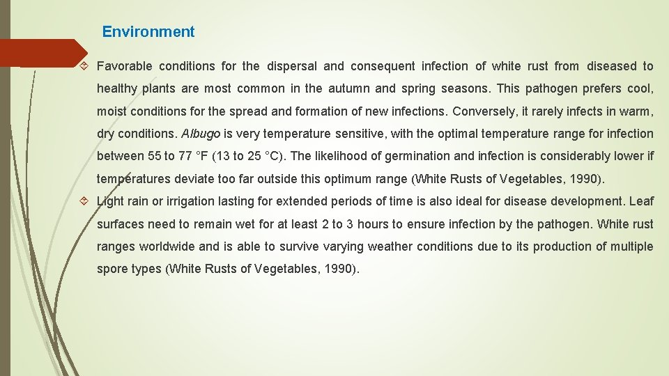 Environment Favorable conditions for the dispersal and consequent infection of white rust from diseased