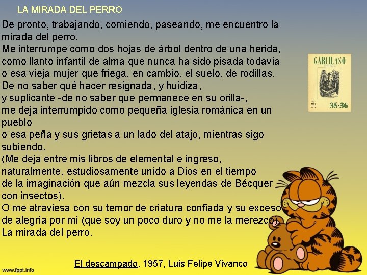 LA MIRADA DEL PERRO De pronto, trabajando, comiendo, paseando, me encuentro la mirada del