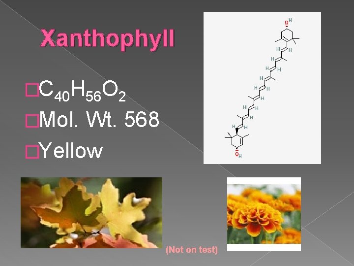 Xanthophyll �C 40 H 56 O 2 �Mol. Wt. 568 �Yellow (Not on test)