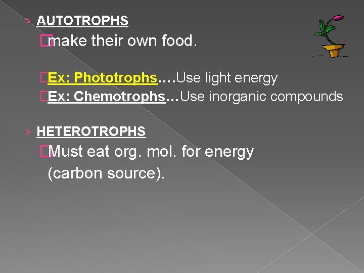 › AUTOTROPHS �make their own food. �Ex: Phototrophs…. Use light energy �Ex: Chemotrophs…Use inorganic