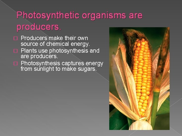 Photosynthetic organisms are producers. Producers make their own source of chemical energy. � Plants