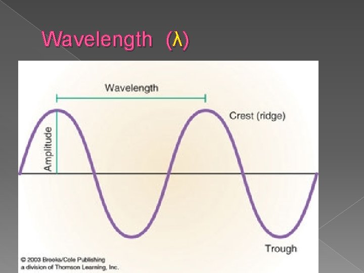 Wavelength (λ) 