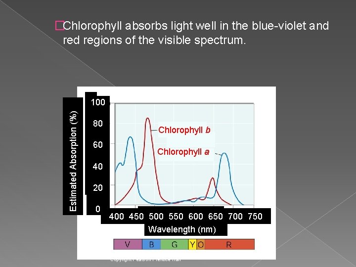 �Chlorophyll absorbs light well in the blue-violet and regions of the visible spectrum. Estimated