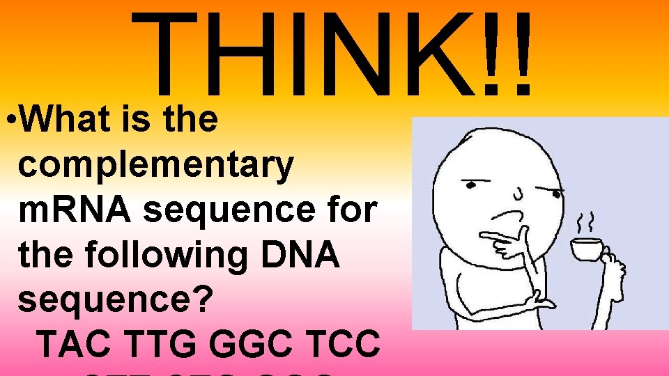 THINK!! • What is the complementary m. RNA sequence for the following DNA sequence?