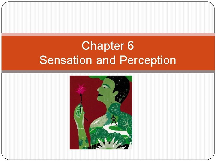 Chapter 6 Sensation and Perception 