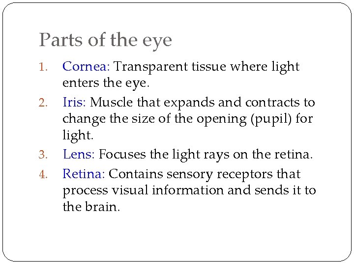 Parts of the eye 1. 2. 3. 4. Cornea: Transparent tissue where light enters
