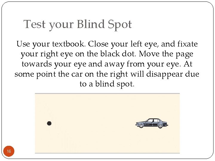 Test your Blind Spot Use your textbook. Close your left eye, and fixate your