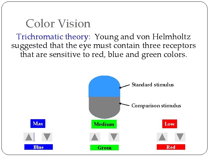 Color Vision Trichromatic theory: Young and von Helmholtz suggested that the eye must contain