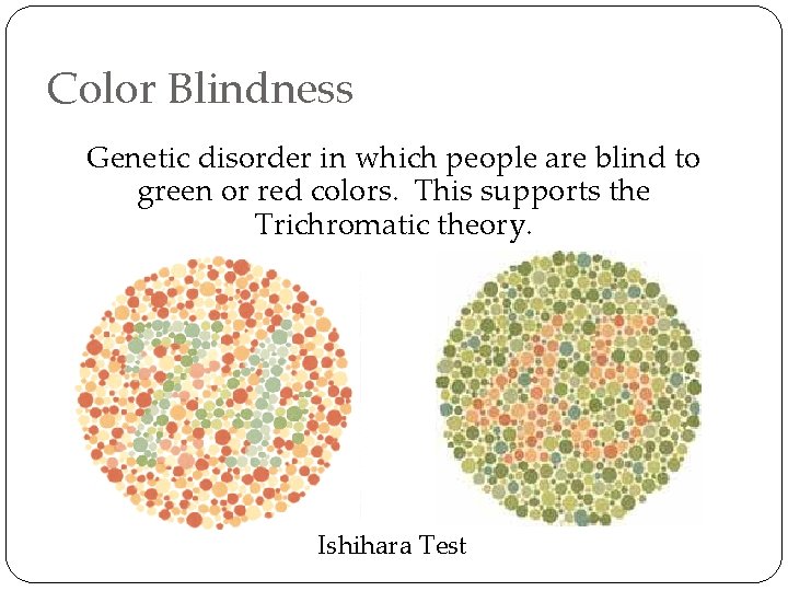 Color Blindness Genetic disorder in which people are blind to green or red colors.