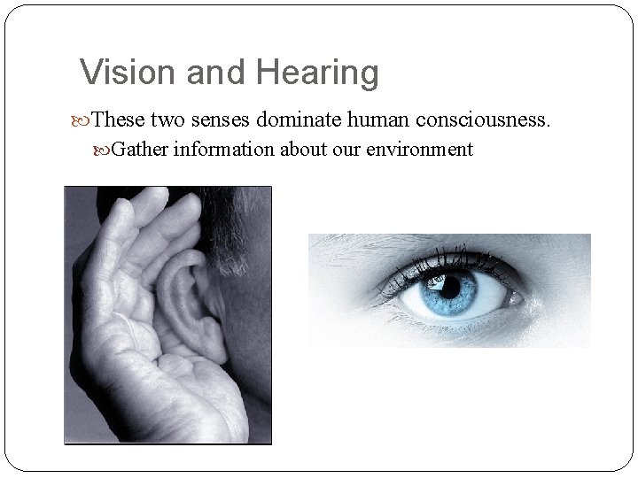 Vision and Hearing These two senses dominate human consciousness. Gather information about our environment