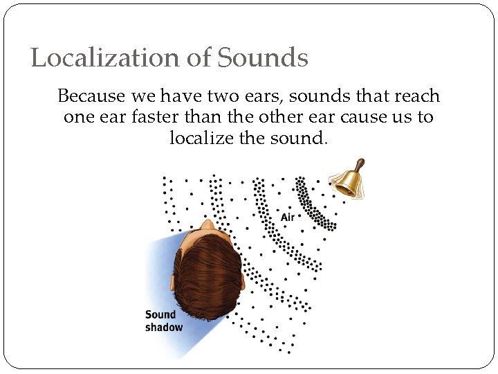 Localization of Sounds Because we have two ears, sounds that reach one ear faster