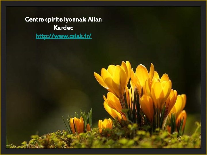 Centre spirite lyonnais Allan Kardec http: //www. cslak. fr/ 