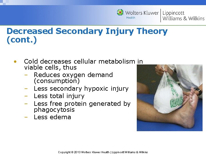 Decreased Secondary Injury Theory (cont. ) • Cold decreases cellular metabolism in viable cells,