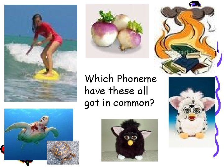 Which Phoneme have these all got in common? 