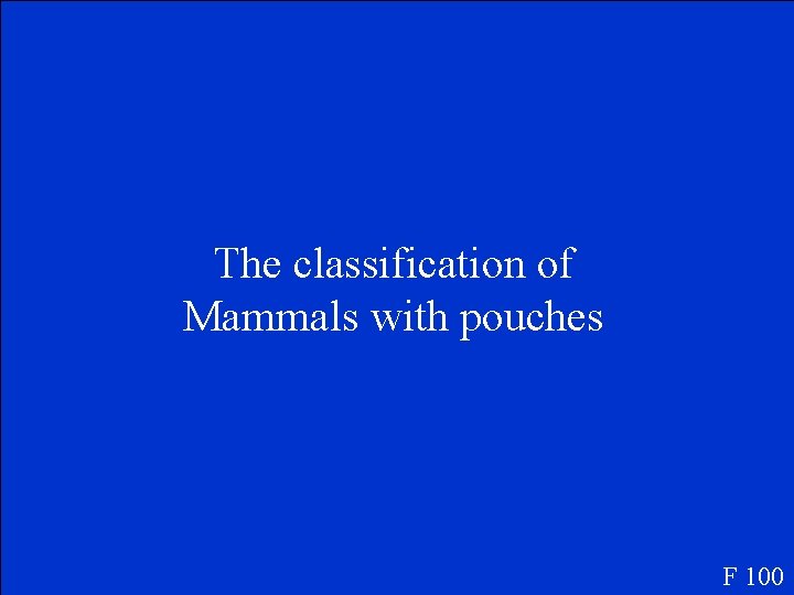 The classification of Mammals with pouches F 100 
