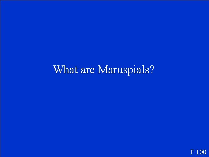 What are Maruspials? F 100 