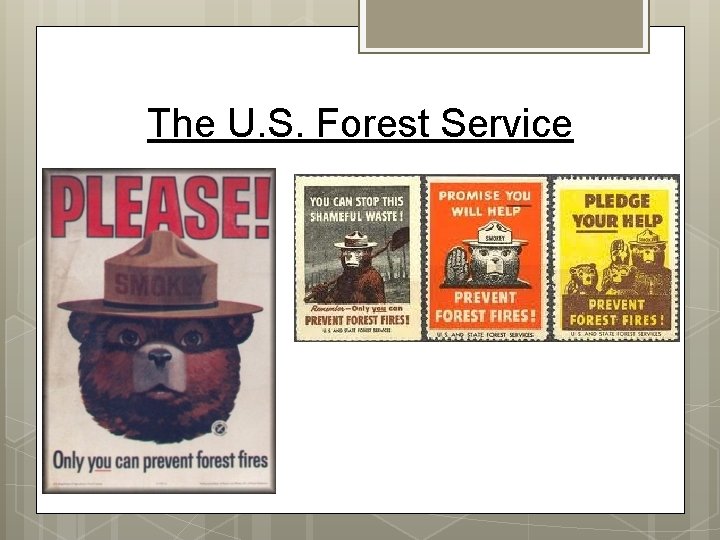 The U. S. Forest Service The U. S. Forest Service