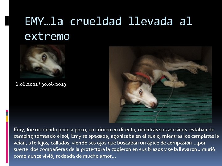 EMY…la crueldad llevada al extremo 6. 06. 2011 / 30. 08. 2013 Emy, fue
