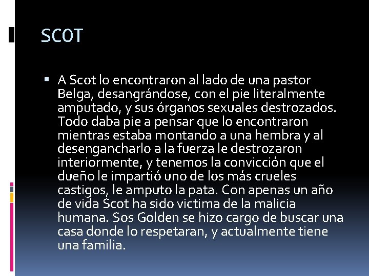 SCOT A Scot lo encontraron al lado de una pastor Belga, desangrándose, con el