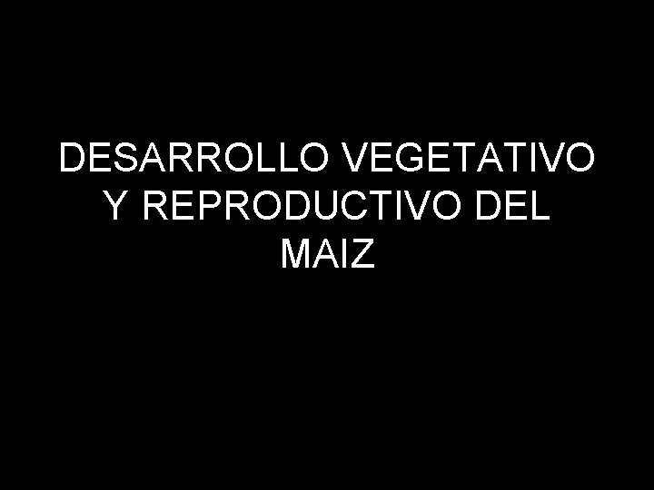 DESARROLLO VEGETATIVO Y REPRODUCTIVO DEL MAIZ 