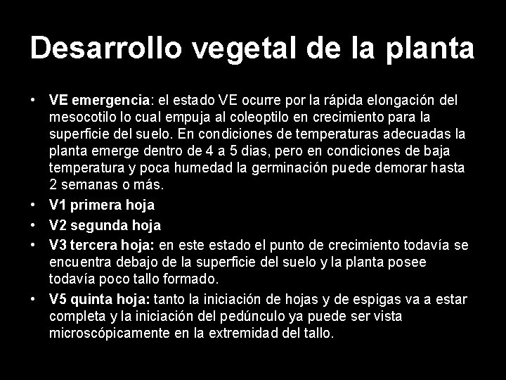 Desarrollo vegetal de la planta • VE emergencia: el estado VE ocurre por la